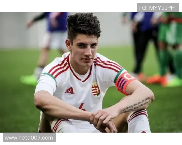 索博斯洛伊的历史传承与文化魅力探秘之旅