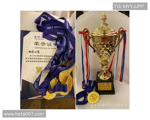 北京羽毛球队比赛经验分析与数据洞察探讨MBA