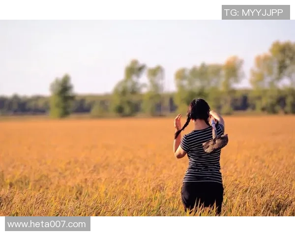 哈德森的魅力探索：揭示这座城市的文化与历史之美