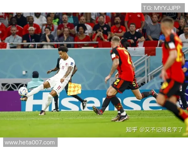 瑞士与比利时精彩对决赛前分析及历史交锋回顾