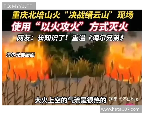 重庆排球队包夹战术分析与成效探讨